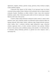 Civilinės saugos veiksmų ir priemonių planavimas ekstremalių situacijų atveju 13 puslapis