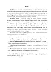 Civilinės saugos veiksmų ir priemonių planavimas ekstremalių situacijų atveju 3 puslapis