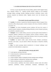 Civilinės saugos veiksmų ir priemonių planavimas ekstremalių situacijų atveju 4 puslapis