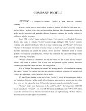 Company analysis: "Avelyn" 3 puslapis