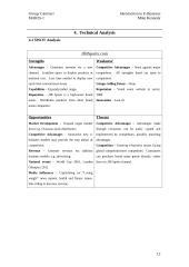 Conventional and e-business retail companies 12 puslapis