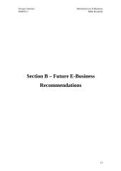 Conventional and e-business retail companies 13 puslapis