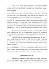 CRM sistemos pritaikymas UAB "Bitė Lietuva" 8 puslapis