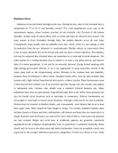 Cultural differences in Indonesia and India 5 puslapis