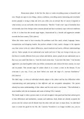 Culture Shock 3 puslapis