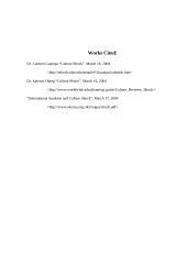 Culture Shock 6 puslapis