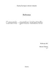 Cunamis – gamtos katastrofa