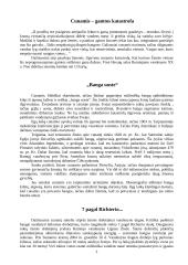 Cunamis – gamtos katastrofa 3 puslapis