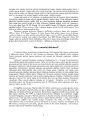 Cunamis – gamtos katastrofa 4 puslapis