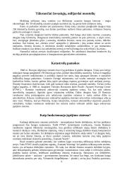 Cunamis – gamtos katastrofa 6 puslapis