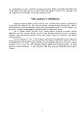 Cunamis – gamtos katastrofa 7 puslapis