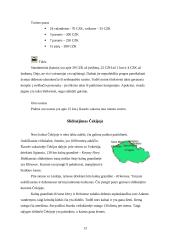 Čekijos turizmas 13 puslapis