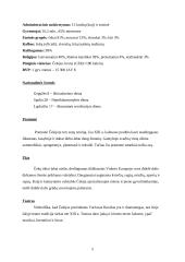 Čekijos turizmas 5 puslapis