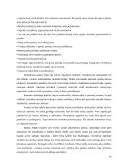 Dalykinės komunikacijos su Ispanijos partneriais ypatumai 15 puslapis