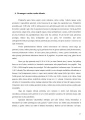 Dalykinės komunikacijos su Ispanijos partneriais ypatumai 16 puslapis