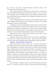 Dalykinės komunikacijos su Ispanijos partneriais ypatumai 7 puslapis