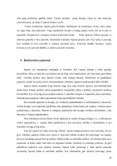 Dalykinės komunikacijos su Ispanijos partneriais ypatumai 9 puslapis