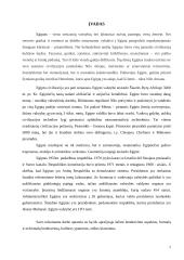 Dalykinio bendravimo su Egipto partneriais ypatumai 2 puslapis