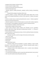 Dalykinio bendravimo su Egipto partneriais ypatumai 11 puslapis