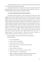 Dalykinio bendravimo su Egipto partneriais ypatumai 13 puslapis