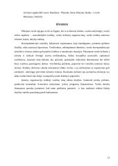 Dalykinio bendravimo su Egipto partneriais ypatumai 14 puslapis