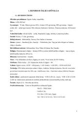 Dalykinio bendravimo su Egipto partneriais ypatumai 3 puslapis