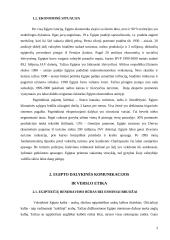 Dalykinio bendravimo su Egipto partneriais ypatumai 4 puslapis