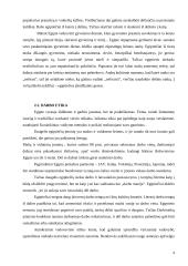 Dalykinio bendravimo su Egipto partneriais ypatumai 5 puslapis