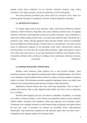 Dalykinio bendravimo su Egipto partneriais ypatumai 6 puslapis