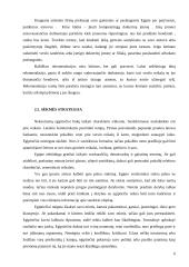 Dalykinio bendravimo su Egipto partneriais ypatumai 7 puslapis