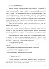 Dalykinio bendravimo su Egipto partneriais ypatumai 8 puslapis