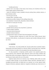 Dalykinio bendravimo su Egipto partneriais ypatumai 9 puslapis