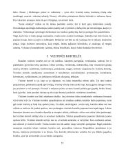 Dalykinio etiketo ypatumai 12 puslapis