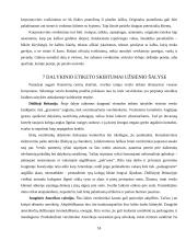 Dalykinio etiketo ypatumai 15 puslapis