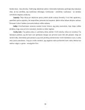 Dalykinio etiketo ypatumai 17 puslapis