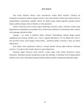 Dalykinio etiketo ypatumai 18 puslapis