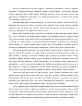 Dalykinio etiketo ypatumai 7 puslapis