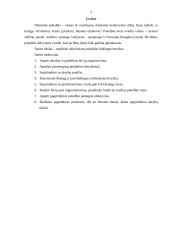 Dalykinio pokalbio technika 3 puslapis