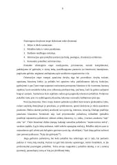 Dalykinio pokalbio technika 6 puslapis