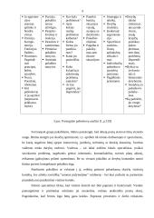 Dalykinio pokalbio technika 9 puslapis