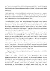 Dantys ir burnos higiena 3 puslapis