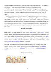 Dantys ir burnos higiena 6 puslapis