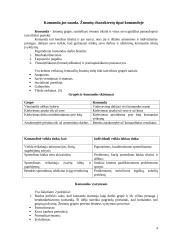 Darbo pasirinkimas 4 puslapis