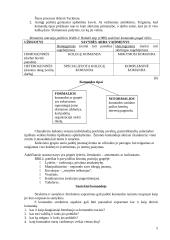 Darbo pasirinkimas 5 puslapis