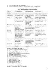 Darbo pasirinkimas 6 puslapis