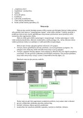 Darbo pasirinkimas 7 puslapis