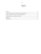 Darbas ir migracija. Jaunimo problemos 3 puslapis