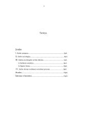 Darbas kaip socializacijos veiksnys 11 puslapis