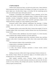 Darbas kaip socializacijos veiksnys 3 puslapis