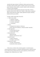 Darbas kaip socializacijos veiksnys 7 puslapis